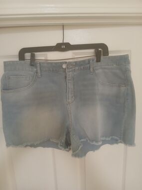 Time and Tru Light Blue Distressed Denim Shorts